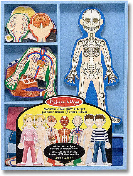 Melissa Doug тело человека Magnetic Human Body магнитный набор для изучения