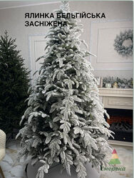 #9: Бельгійська Засніжен