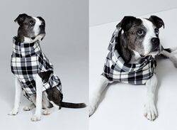Флісовий светр для собак, котів фірми H&M р. S-30
