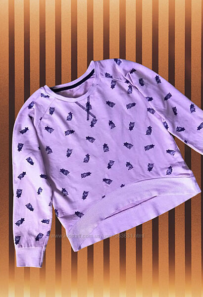 Модний светрик з совами