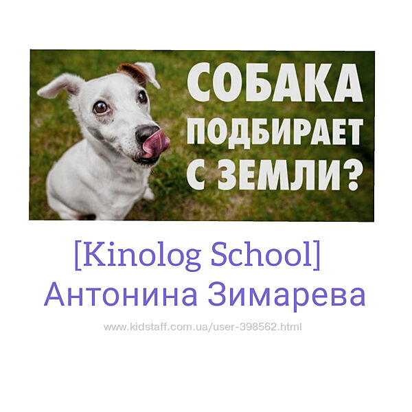 Антонина Зимарева. Помойка отказ от подбора еды на улице. Kinolog School 