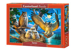 #3: В-53322 Castorland
