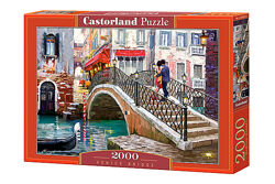 #8: Castorland C-200559