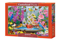 #1: Castorland, C-200818