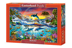 #3: C-300396 Castorland