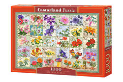 #6: С-104338 Castorland