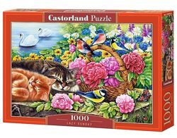 #9: Castorland, C-104765