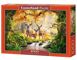 #10: Castorland, C-104253