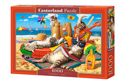 #3: С-104772 Castorland