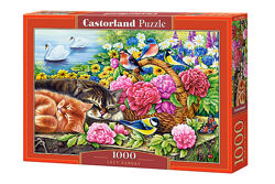 #2: С-104765 Castorland