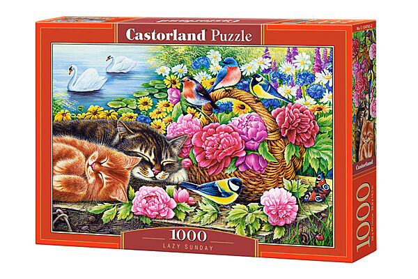 #2: С-104765 Castorland