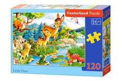 #2: B-12725 Castorland