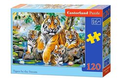 #9: B-13517 Castorland