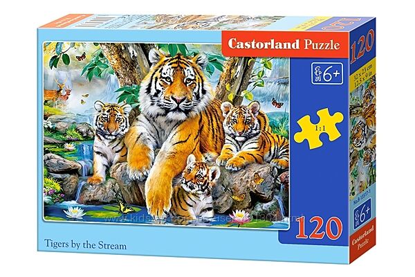 #9: B-13517 Castorland