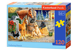 #8: В-13340 Castorland