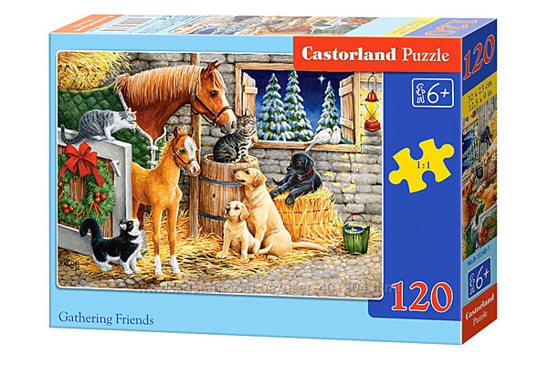 #8: В-13340 Castorland
