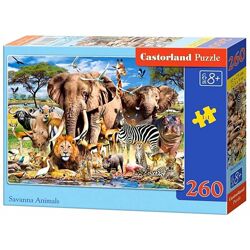 #5: В-27545 Castorland