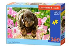 #7: В-27514 Castorland