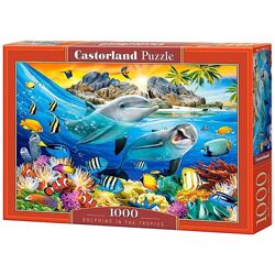 #8: С-104611 Castorland