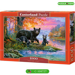 #8: C-104727 Castorland