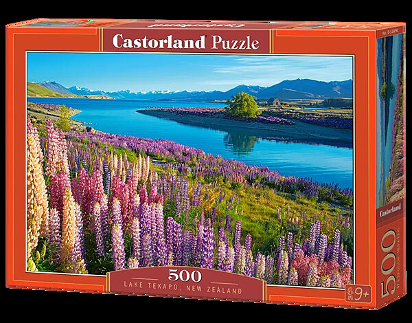 #10: Castorland, B-53896