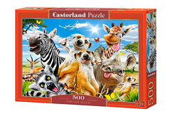 #6: В-53568 Castorland