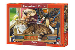 #7: В-53476 Castorland