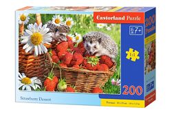 #5: В-222025 Castorland