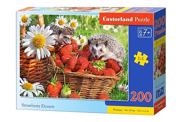 #5: В-222025 Castorland