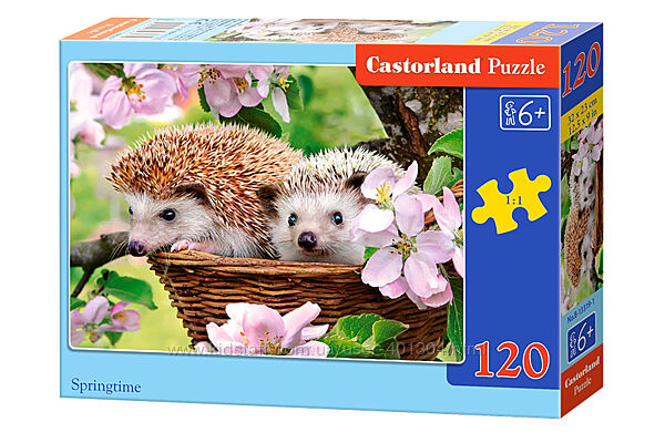 #2: В-13319 Castorland