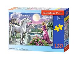 #3: В-13098 Castorland