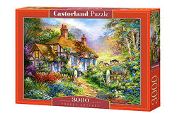 #9: Castorland С-300402