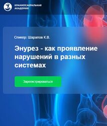 Cranio Acad Энурез как проявление нарушений в разных системах