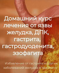 Игорь Кауфман Домашний курс лечения от язвы желудка, ДПК, гастрита 2024
