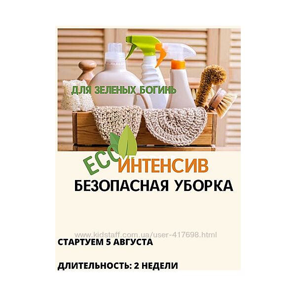 Безопасная уборка Екатерина Кудерцева