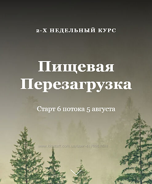 Алисья Янг Пищевая Перезагрузка 2024