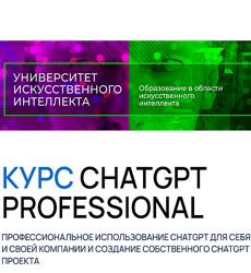 ChatGPT Professional. Тариф Professional Light 2024
