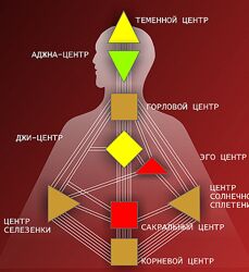 Система Дизайна человека. Инструкция к себе Дарья Карась