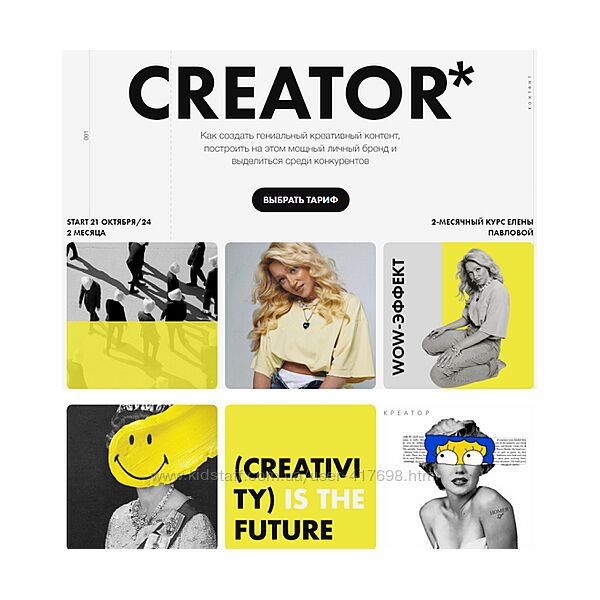 Creator. Креатор. Тариф Продвинутый Елена Павлова