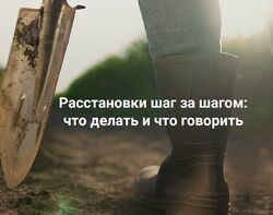Елена Веселаго Расстановки шаг за шагом что делать и что говорить
