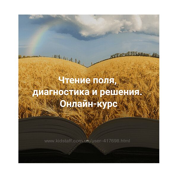 Елена Веселаго Чтение поля, диагностика и решения Апгрейд до пакет Полный