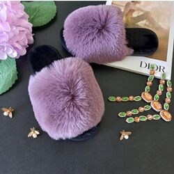 Домашні тапулі