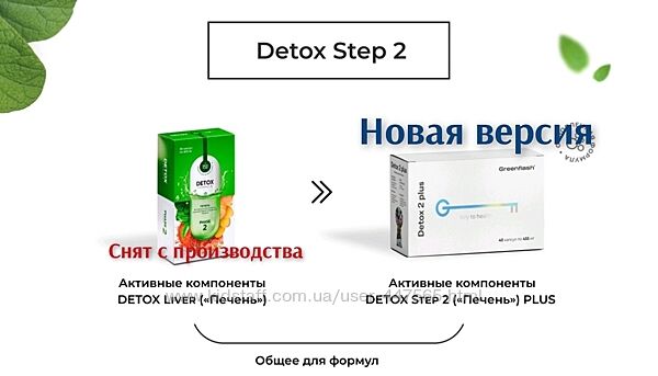 Программа детокс шаг 2 Detox Liver детокс печень NL продукция в наличии
