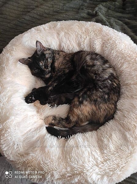 Пуф круглый лежанка лежак для кота кошки собачки разные цвета и размеры
