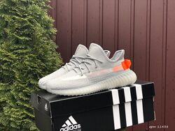 Кросівки жіночі Adidas Yeezy Boost , сірі