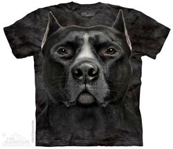 #4: M