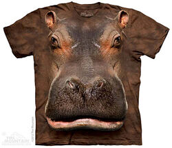 #6: S,M,L