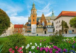 Пазлы Schmidt Castorland и др 500,1000 элементов Оригинал 