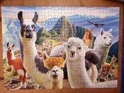 #6: Machu Picchu Lamas