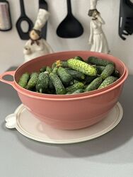 Чаша Милиан  7,5 л. Tupperware 